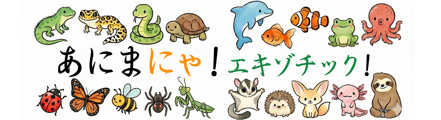 あにまにゃ！エキゾチック！