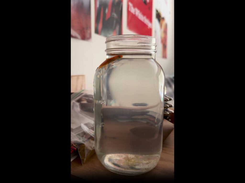 瓶の壁を登るオレンジ色のイモリ