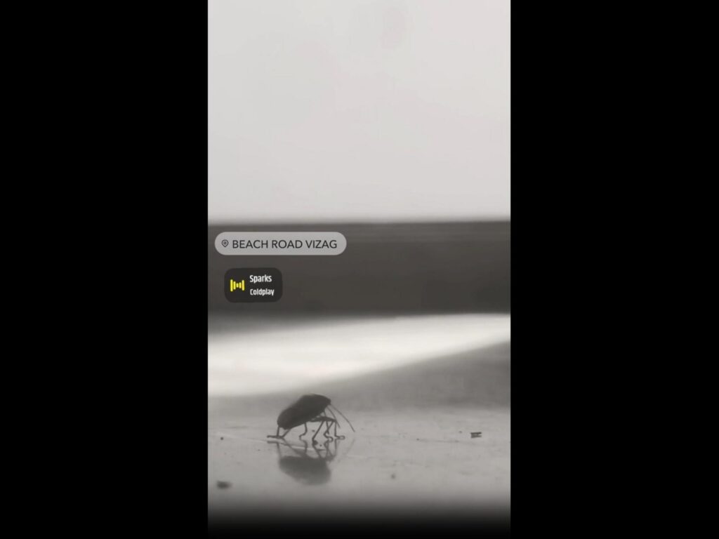 黒い虫が地面を歩いている