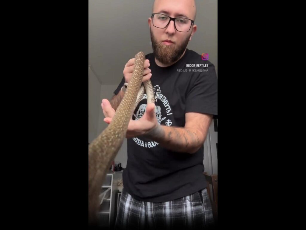 茶色のヘビを男性が手に持っている