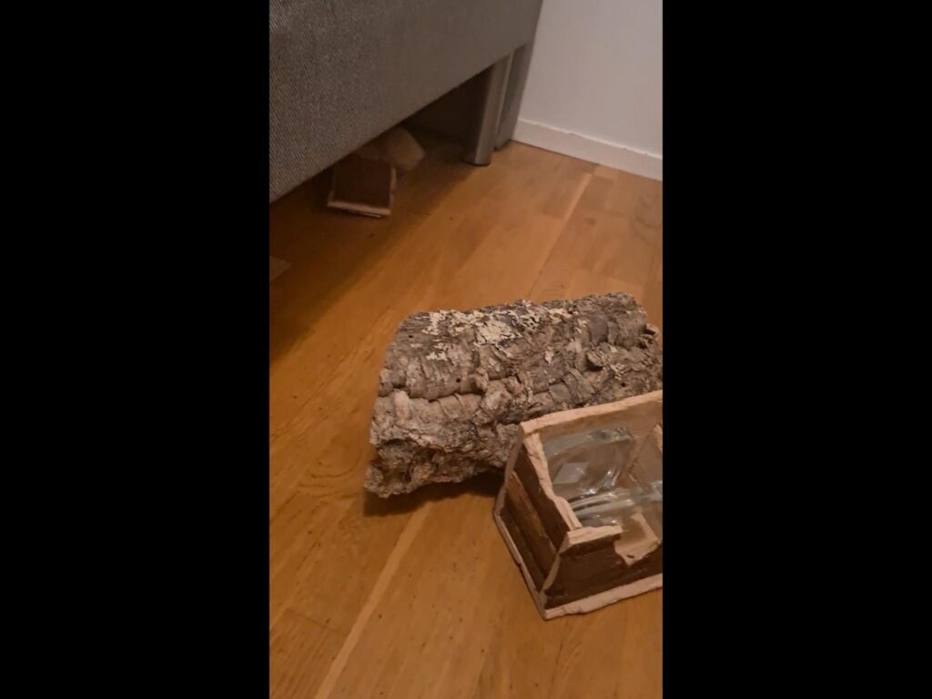 木の床に置かれたコルクの樹皮と木製の箱