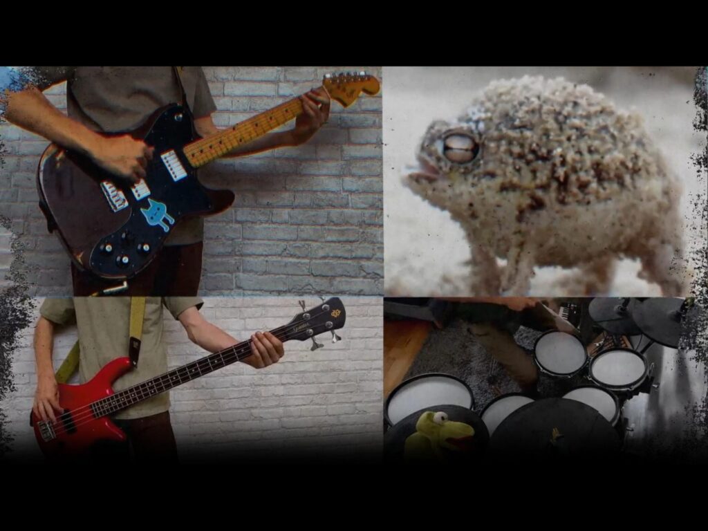 茶色のカエルが口を開けて鳴いている