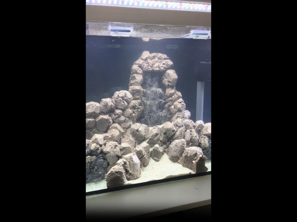 水槽内の茶色い岩と白く流れる滝の景色