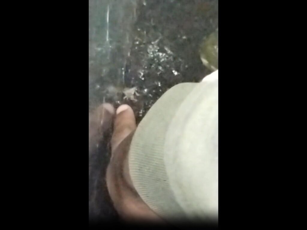 指先に白い小さなカニが止まっている