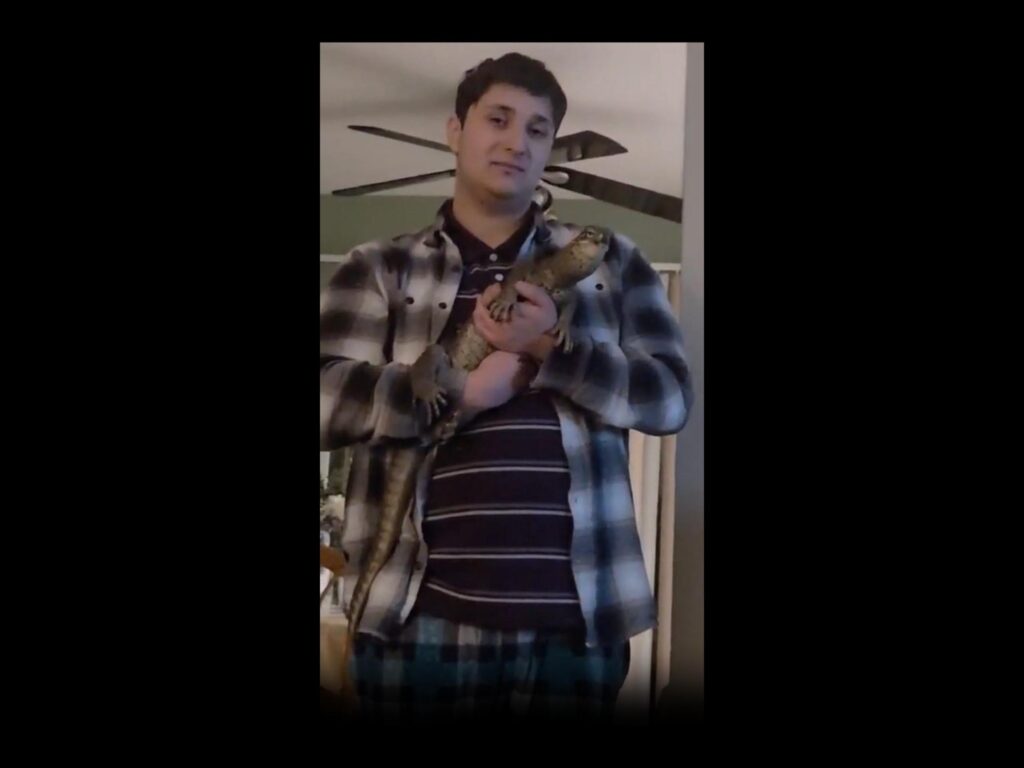 男性に抱かれている茶色のトカゲ