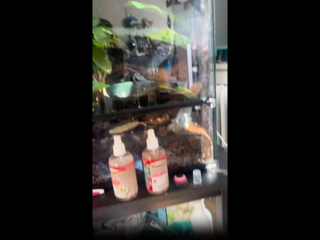 テラリウムの前に霧吹きが二本並んでいる