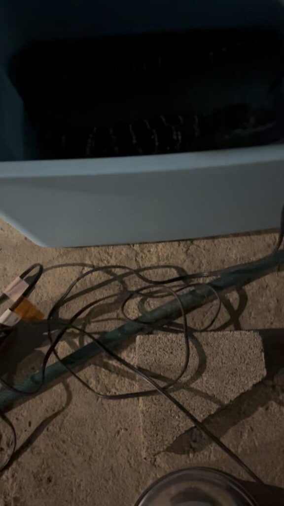 水中の黒と黄色のワニが静止している