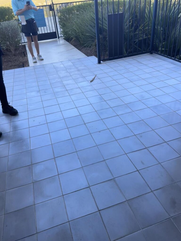 タイルを這う茶色のトカゲ