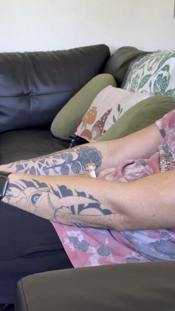 腕から顔を出す白と金色のヘビ