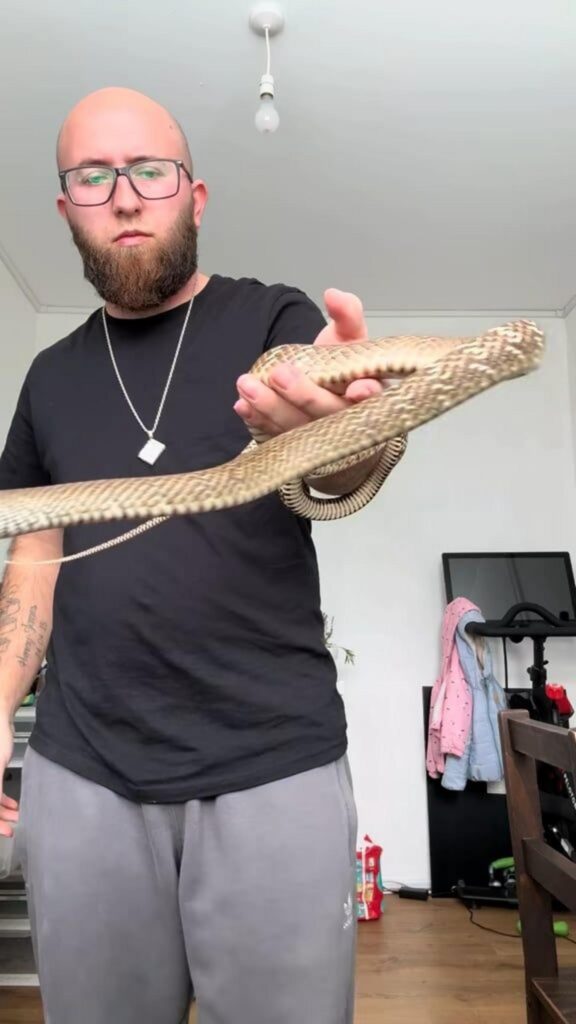 茶色いヘビを男性が手に持っている