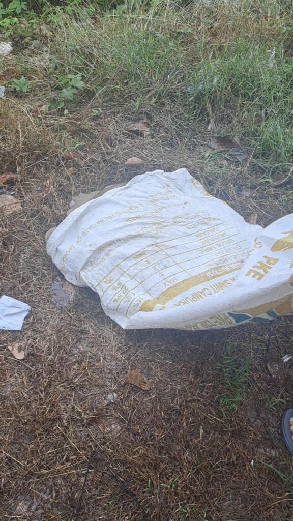 茶色のイノシシが横たわっている