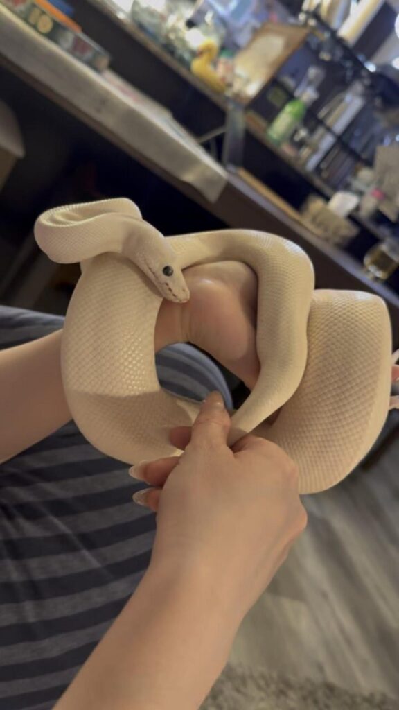 手に巻き付いている白いヘビ