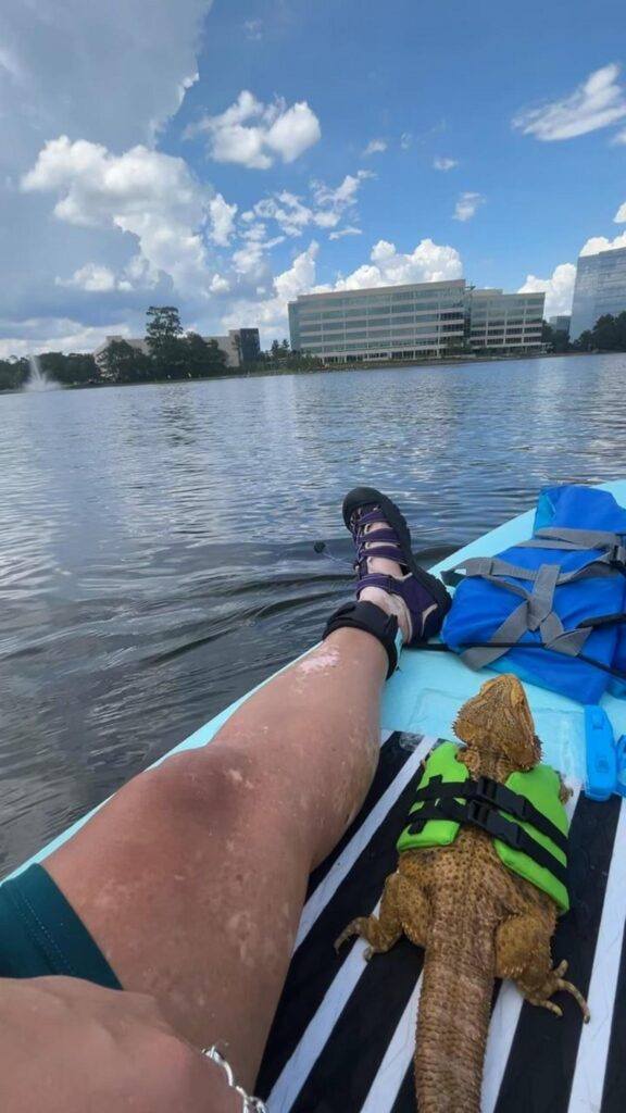 救命胴衣を着てボードで伏せる黄色のトカゲ