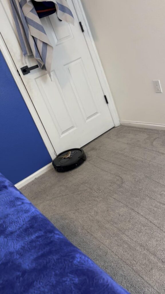 茶色のトカゲが掃除機の上に乗っている