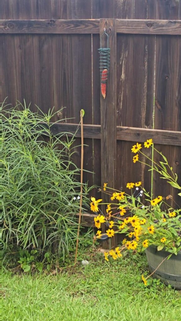 棒の先に緑色のトカゲが止まっている