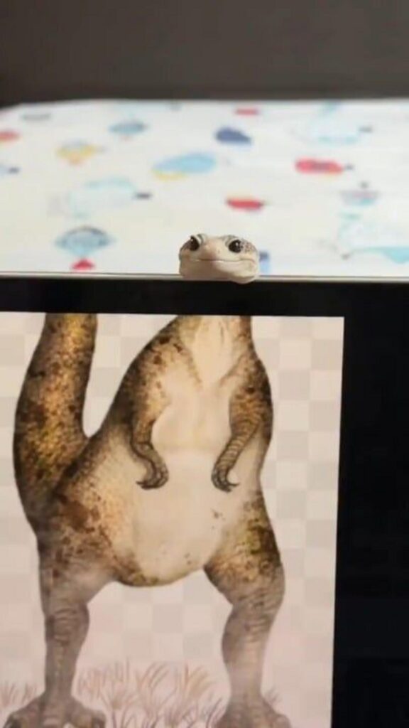 画面から顔を出す白いヤモリ