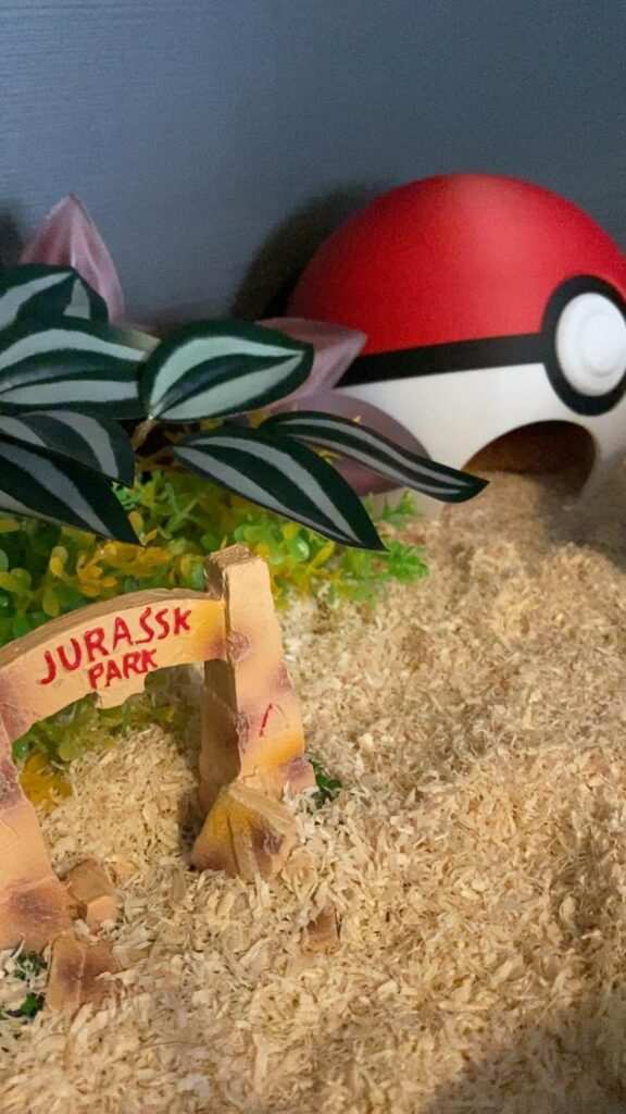 恐竜の門やモンスターボールがある飼育箱